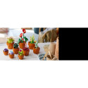 Blocks Icons 10329 Small plants