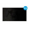 Privacy filter Owl 13.3 16:9