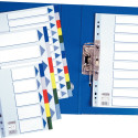 Divider Esselte PP A4+ 10 tabs Multicol