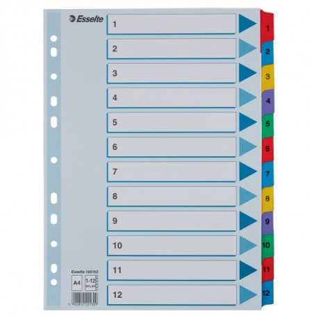 Indices Esselte Mylar A4 1-12 Multicolo.