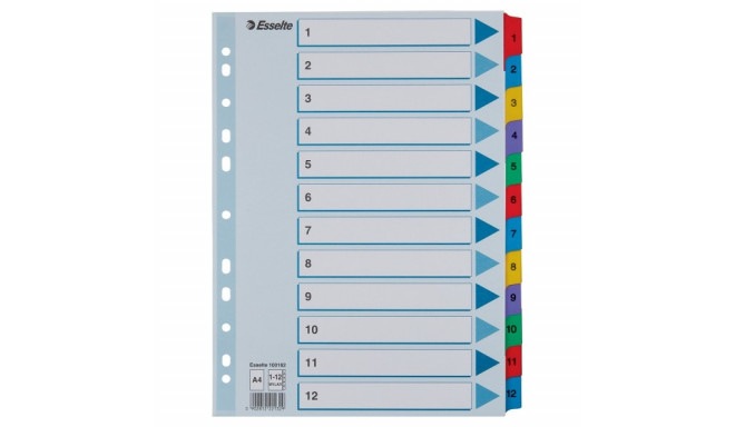 Indices Esselte Mylar A4 1-12 Multicolo.