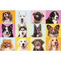TREFL Puzzle Puppies, 60 pcs