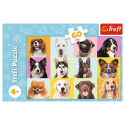 TREFL Puzzle Puppies, 60 pcs