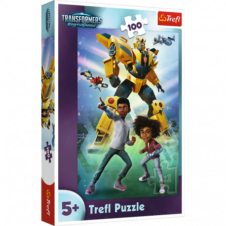 TREFL TRANSFORMERS Pusle Transformerid, 100 osa