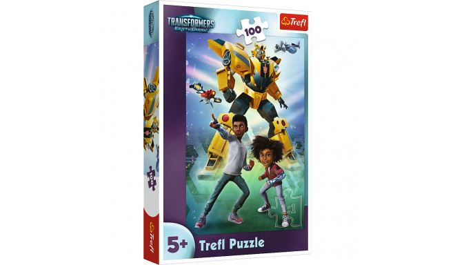 TREFL TRANSFORMERS Pusle Transformerid, 100 osa