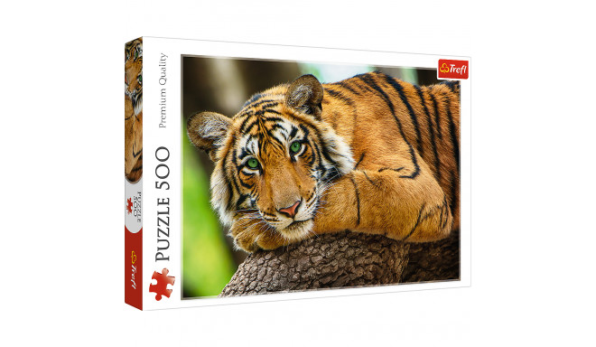 TREFL Puzle Tiger, 500 gab.