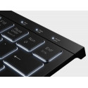 KeySonic KSK-5010ELC (DE) keyboard USB QWERTZ German Black
