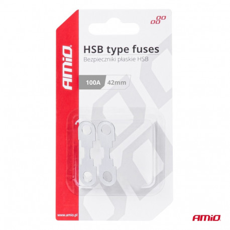 Lehtkaitse HSB 2tk 42*12mm 100