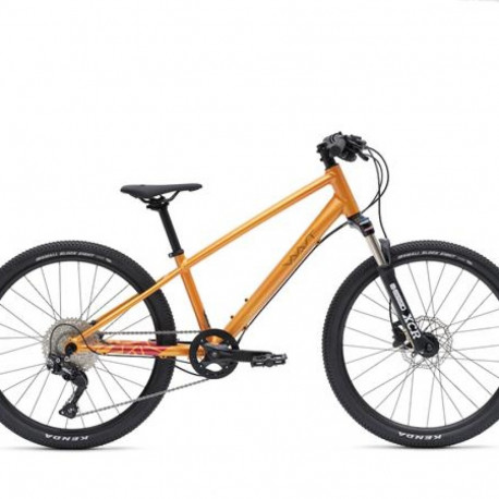 Vaast Y/1 MOUNTIAN Bicycle, 24'', Orange