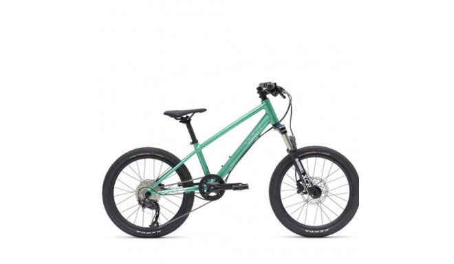 Vaast Y/1 MOUNTIAN bicycle, 20'', GLOSS TEAL