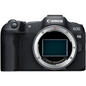 Canon EOS R8 + RF 24-105mm f/4L IS USM (Black)