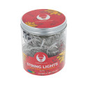 String light 100LED 8m multicolor Forever Light