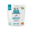 BRIT Care Dog Grain-free Adult Small & Medium Salmon  - dry dog food - 1 kg