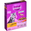 ?Whiskas 5900951014079 cats dry food 300 g Kitten Chicken