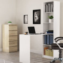 Topeshop R50 BIEL Z BIURKIEM computer desk White