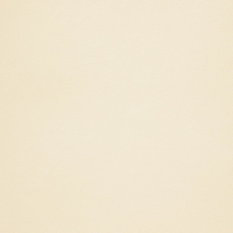 Dekoratiivpaber A4 120g CURIOUS White Gold (408160) 50 lehte