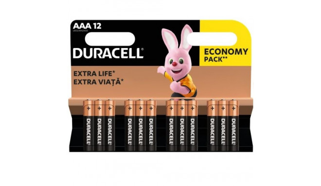 Duracell MN 2400 Basic AAA (LR03) blister pack 12pcs