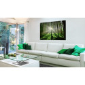 Seinapilt - Emerald Forest II - 120x80