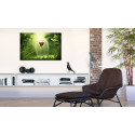 Seinapilt - Magical Rose - 120x80