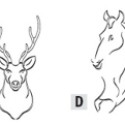 CARVER TEMPLATE DEER