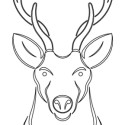 CARVER TEMPLATE DEER