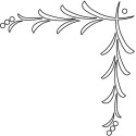 CARVER TEMPLATE STRUCTURE FOR CORNER DESIGN
