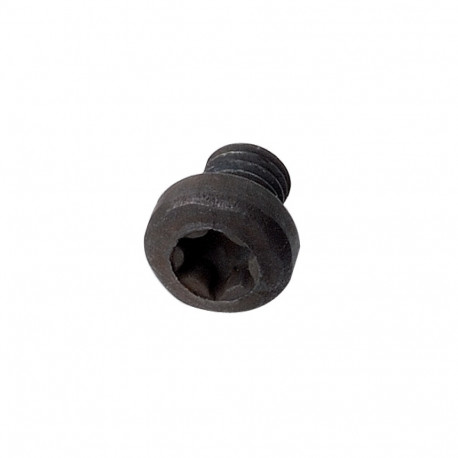 Kruvi TCPTI torx T8 M3x4x5.7