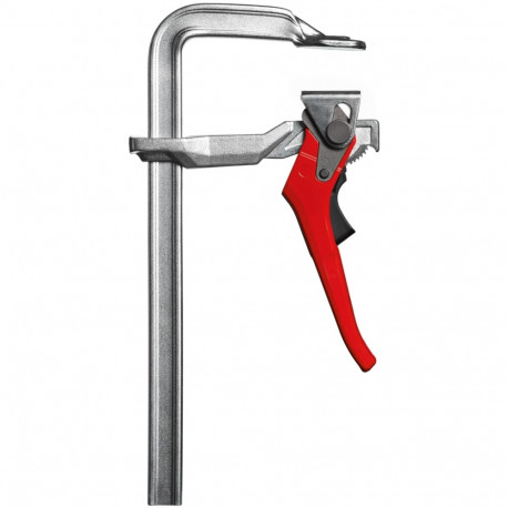 Kang-pitskruvi Bessey GH 200/100