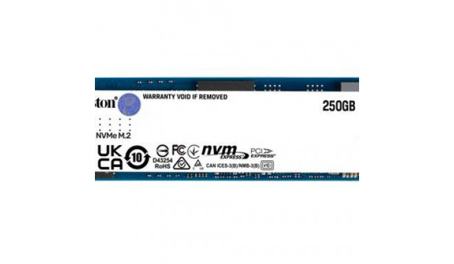 Kingston SSD 250G NV2 M.2 2280 PCIe 4.0 NVMe SSD