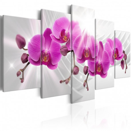 Seinapilt - Abstract Garden: Pink Orchids - 100x50