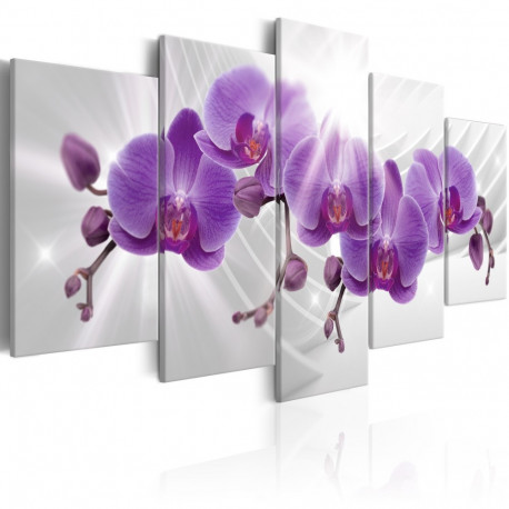 Seinapilt - Abstract Garden: Purple Orchis - 100x50