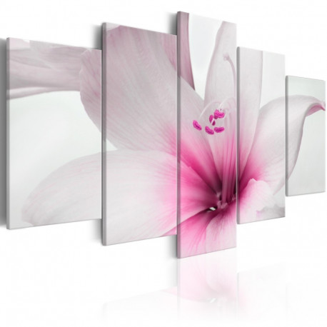 Seinapilt - Amarylis: Pink Charm - 200x100