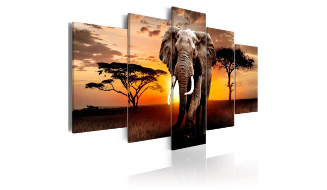 Seinapilt - Elephant Migration - 200x100