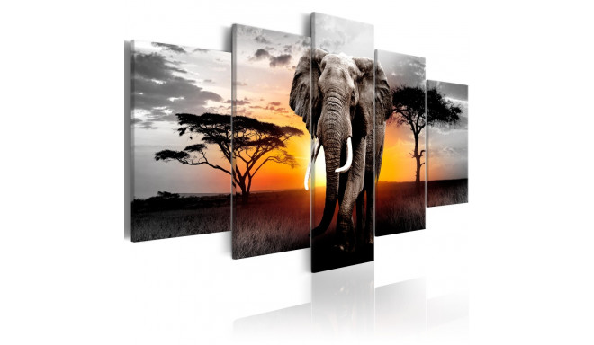 Seinapilt - Elephant at Sunset - 100x50