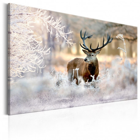 Seinapilt - Deer in the Cold - 90x60