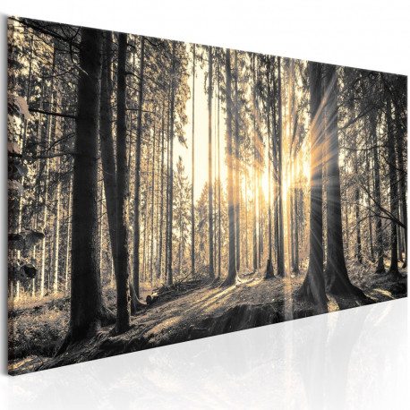 Seinapilt - Forest Sun - 150x50