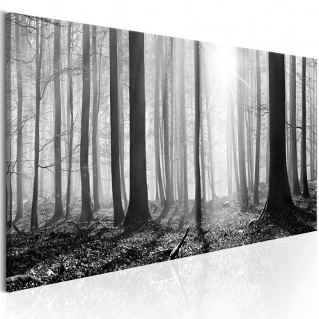 Seinapilt - Black and White Forest - 150x50
