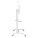 Mobile stand for a TV 70-120 inches 140 kg or an interactive board