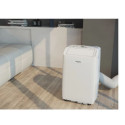 Mobile AirConditioner PACF29HPW