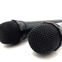 KARAOKE MICROPHONES ACC ENT PRO MT395