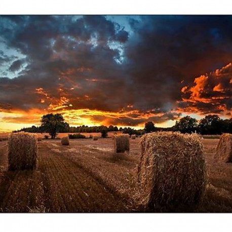 Professional monitor VM55B-U 55 inch Video Wall Mat 24h/7 500(cd/m2) 1920 x 1080(FHD) N/A 3 years On