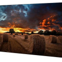 Professional monitor VM55B-U 55 inch Video Wall Mat 24h/7 500(cd/m2) 1920 x 1080(FHD) N/A 3 years d2