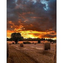 Professional monitor VM55B-U 55 inch Video Wall Mat 24h/7 500(cd/m2) 1920 x 1080(FHD) N/A 3 years d2