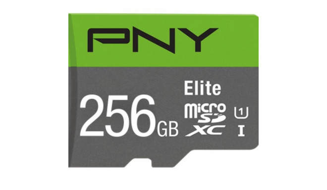 Memory card MicroSDXC Elite 256GB P-SDU256V11100EL-GE