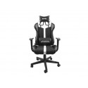 Gaming Chair Fury Avenger XL