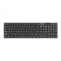 Wireless Keyboard + mouse set 2in1 Stingray US optical