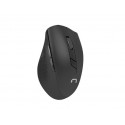 Wireless Keyboard + mouse set 2in1 Stingray US optical