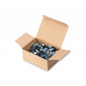 Installation screw M6 50pcs silver