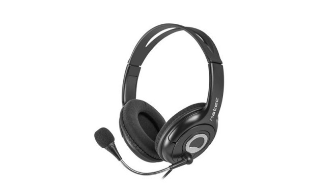 Bear 2 headset with black microphone