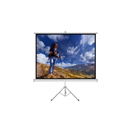 Manual screen on a tripod 4: 3 84 "170x127cm TS-84 4: 3